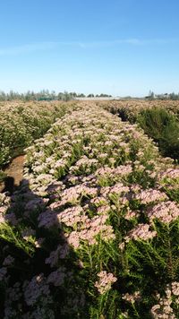 WhatsApp Image 2025-12-17 at 18.09.18 (1)_1