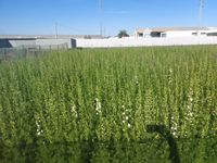 WhatsApp Image 2025-12-17 at 18.17.43 (1)