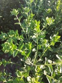 WhatsApp Image 2025-12-17 at 18.17.43 (2)