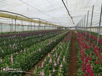 WhatsApp Image 2025-12-17 at 18.27.22